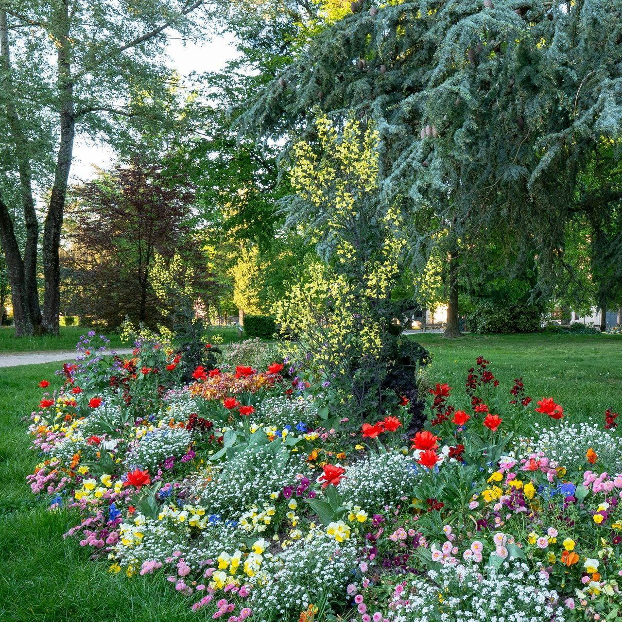Jardin aprés une réfection