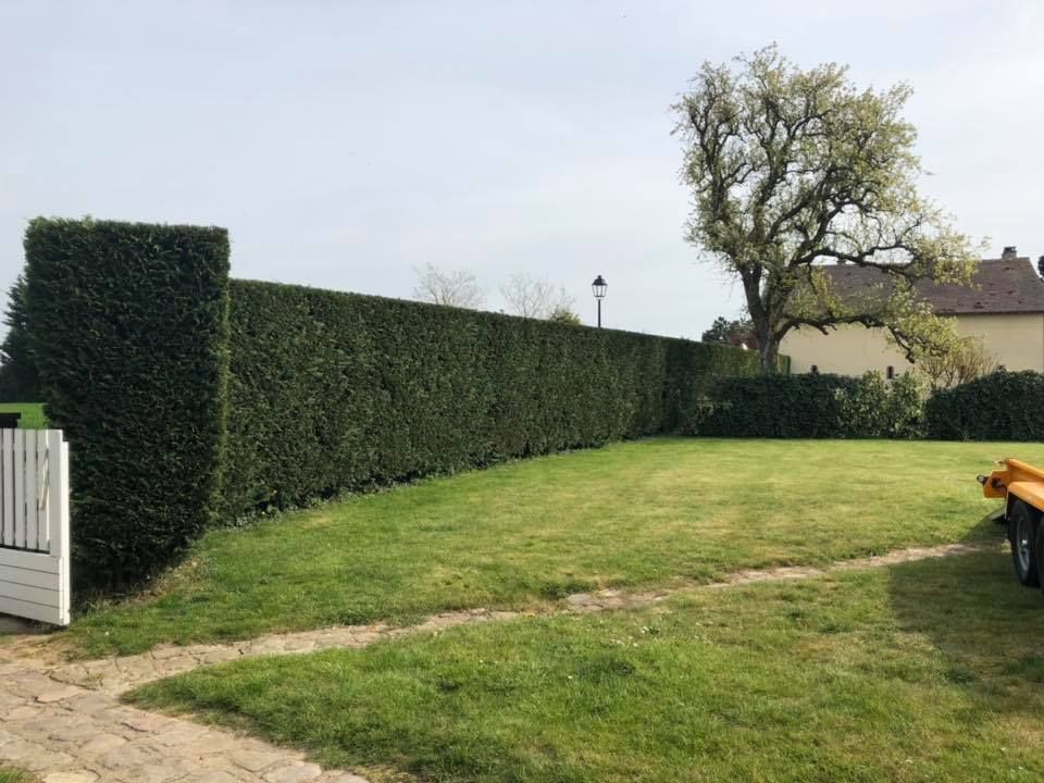 Haies taillées
