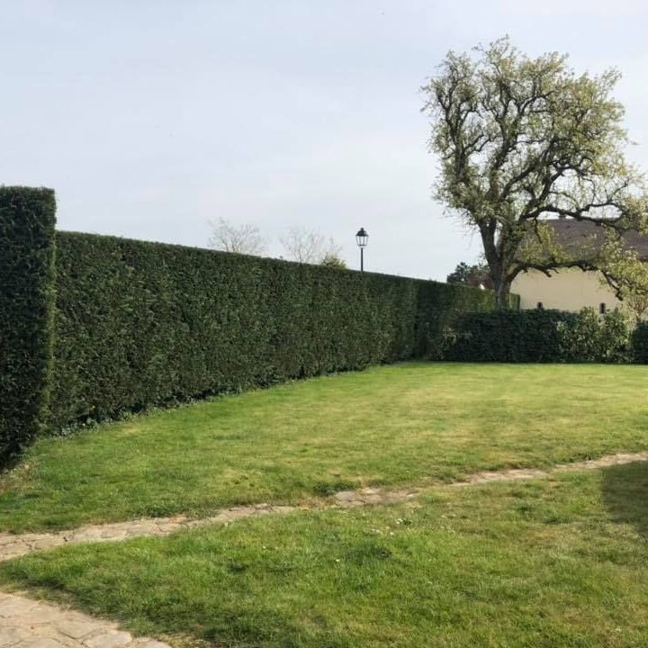 Jardin aprés un entretien