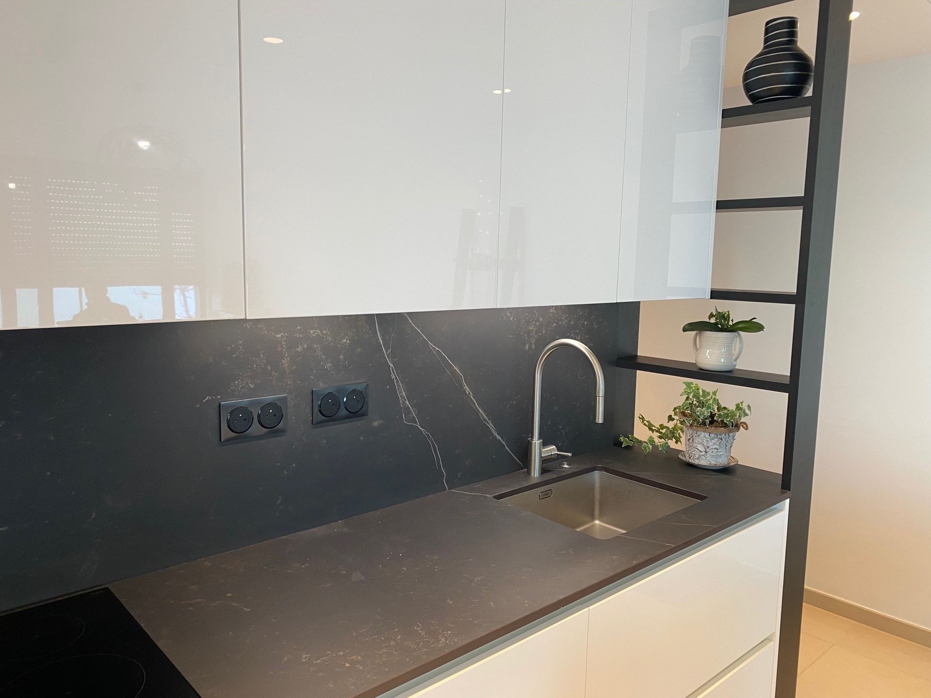 Cuisine moderne avec armoires blanches, plan de travail noir et évier en inox. Des étagères accueillent des plantes et un chat noir.