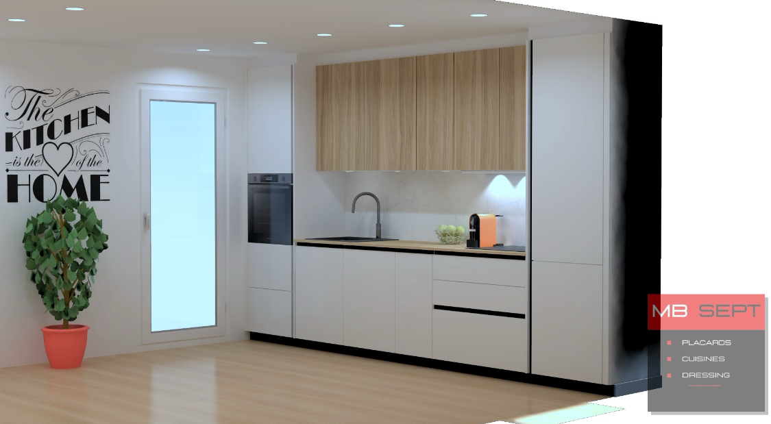 Cuisine blanche moderne avec des accents en bois, un four noir et une plante.