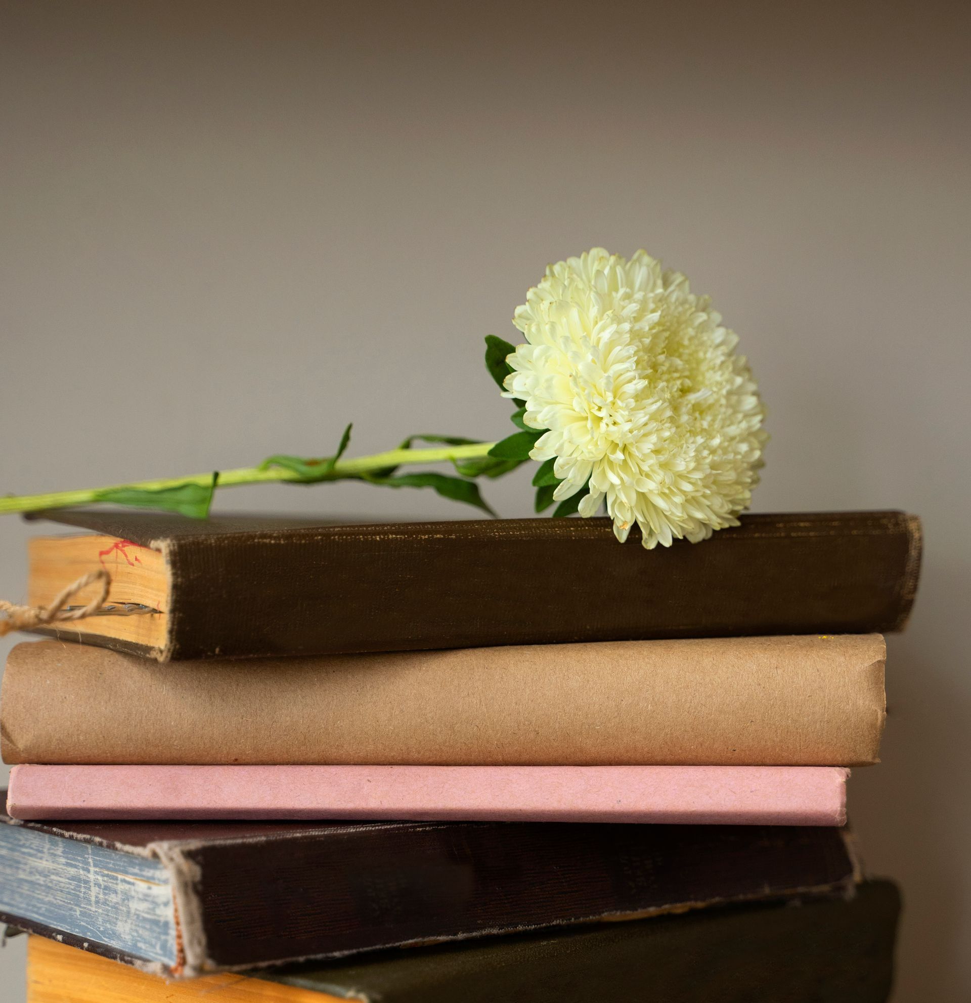 Pile de livres avec une fleur jaune pâle posée dessus.