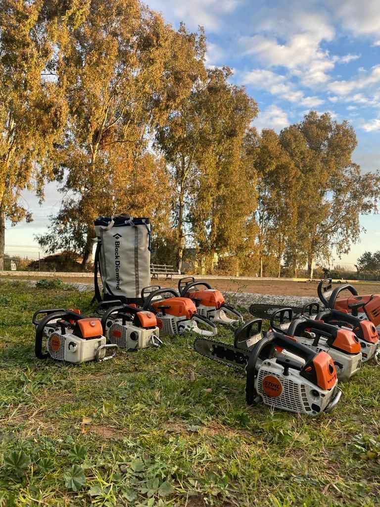 Una hilera de motosierras colocadas encima de un exuberante campo verde.