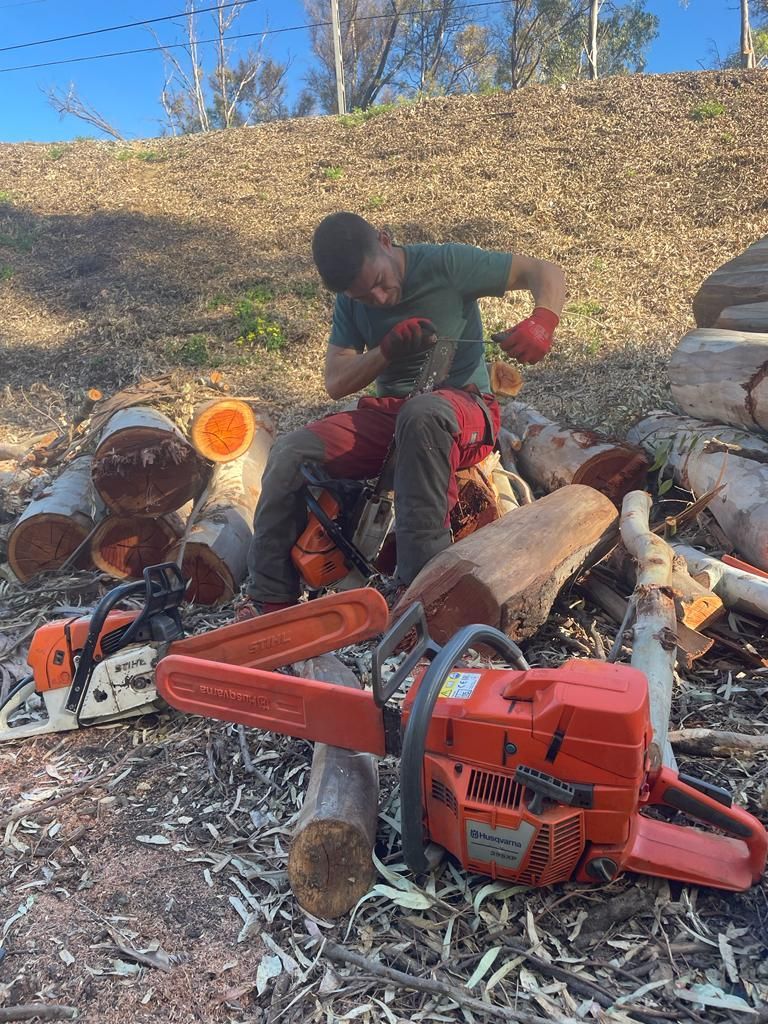 Un hombre está cortando un tronco con una motosierra.