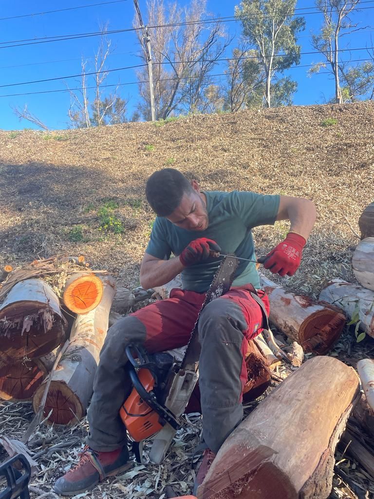 Un hombre está sentado sobre una pila de troncos con una motosierra.