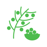 Un icono verde de un árbol con bayas y un cuenco de bayas.