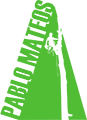 El logotipo de Pablo Mateos es un velero verde con una persona en él.
