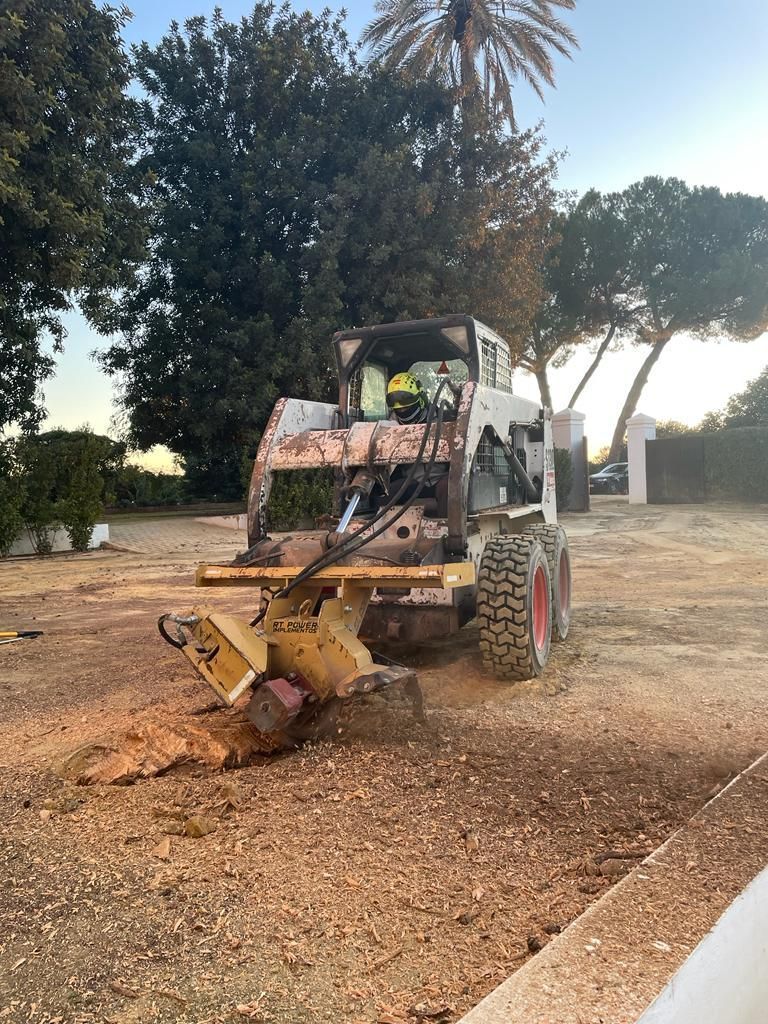 Una excavadora está cortando un tocón de árbol en un campo de tierra.