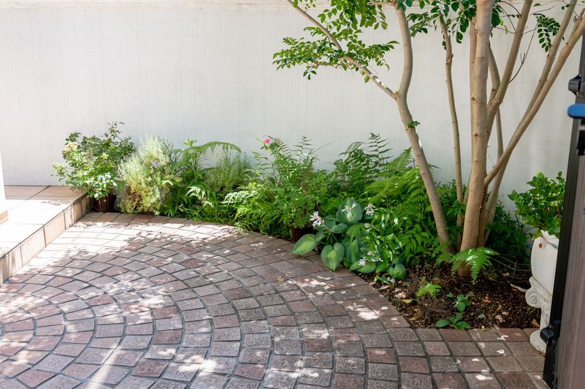 Terrasse incurvée en briques jouxtant un mur blanc orné de plantes et d'arbres luxuriants.