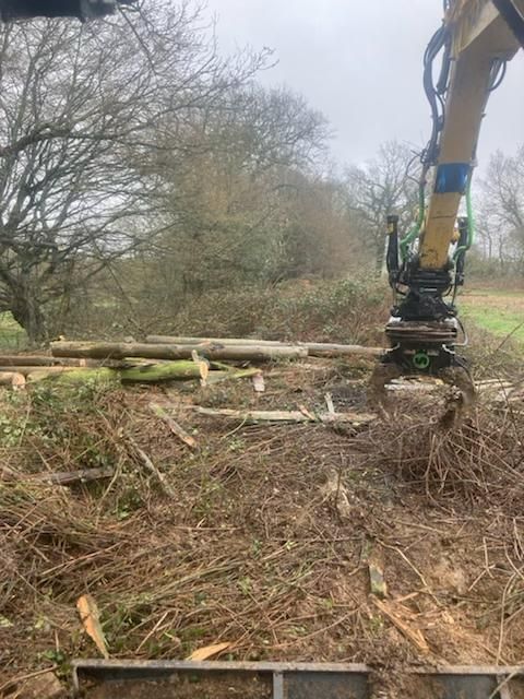 Pelleteuse avec grappin manipulant des branches coupées