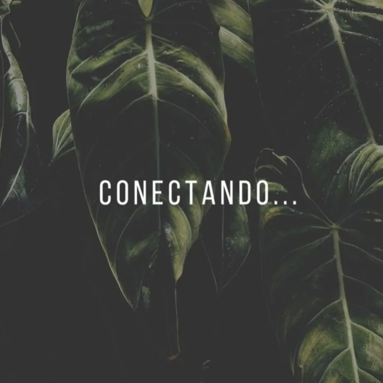 Hojas de color verde oscuro con la palabra 