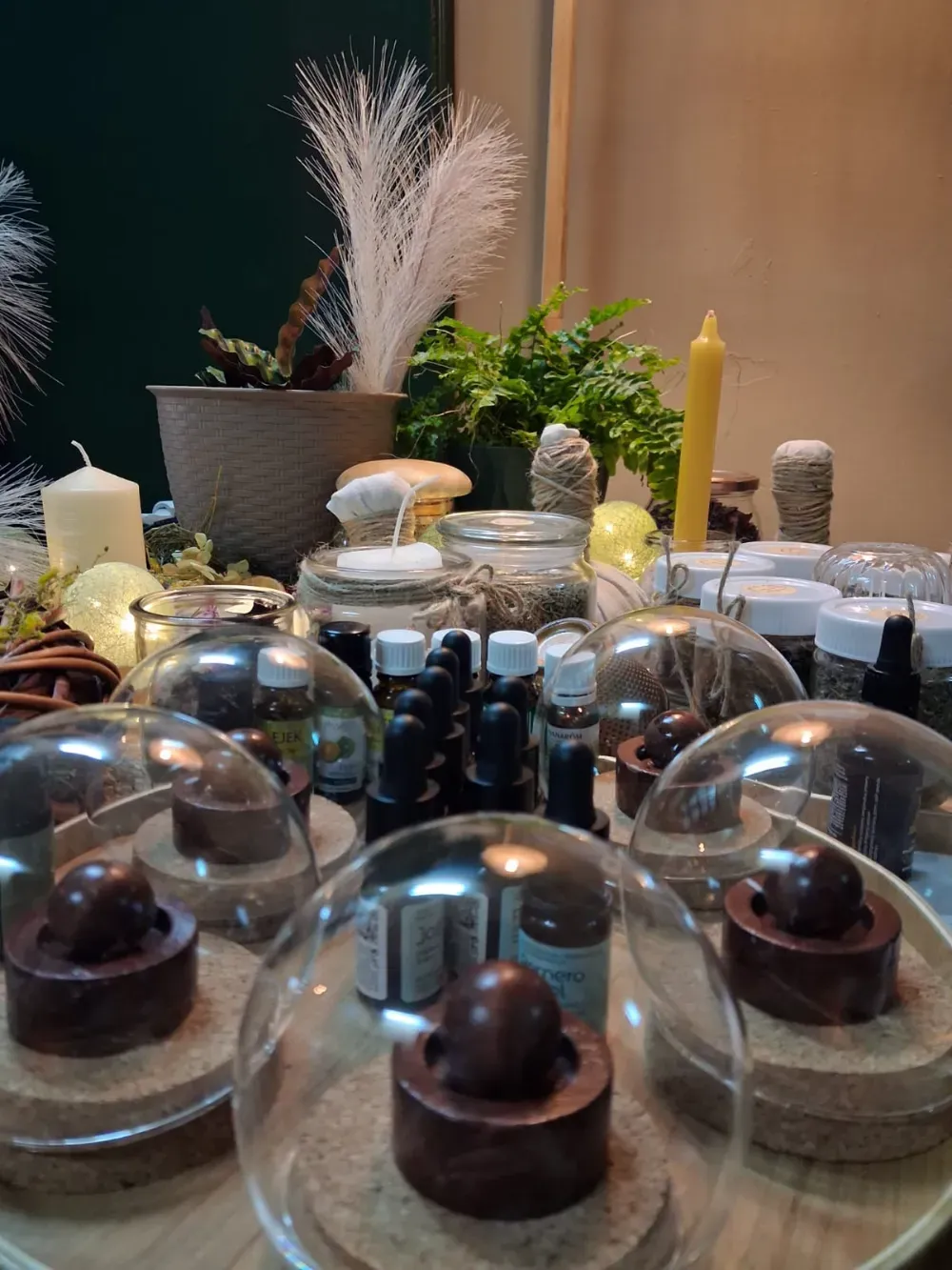 Una exhibición de artículos de boticario, incluidos frascos, velas y plantas bajo cúpulas de vidrio.