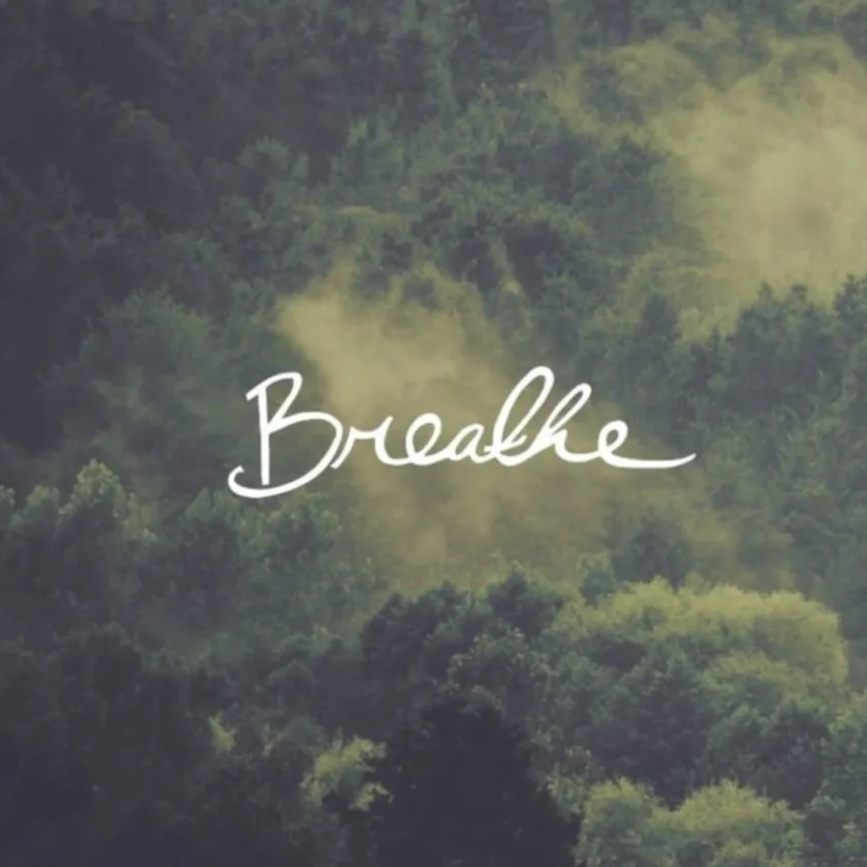 Vista aérea de un exuberante bosque verde con la palabra 