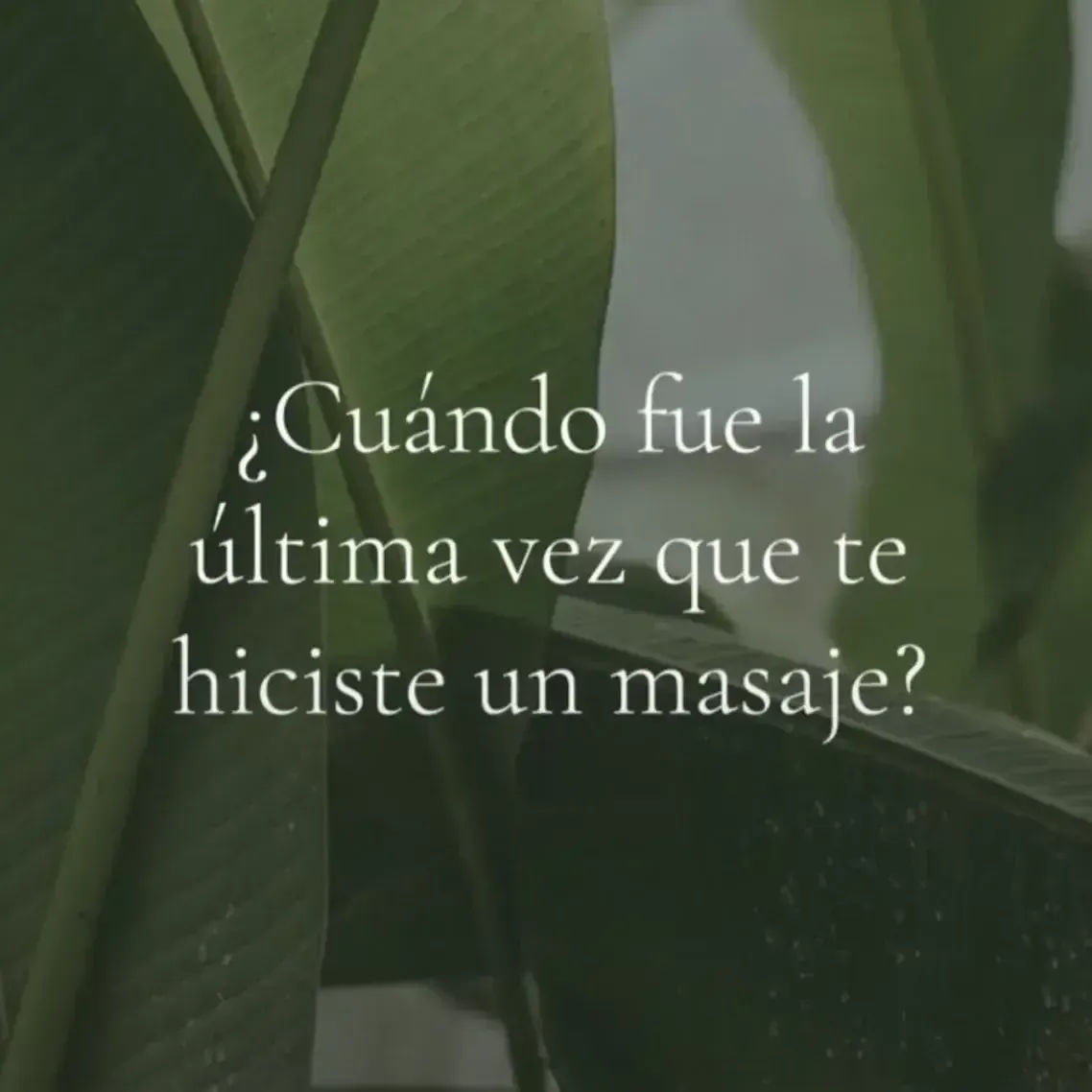 Texto sobre hojas verdes: 