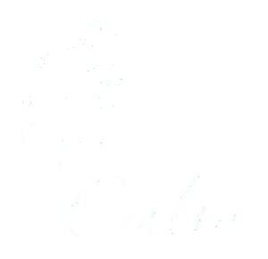 Texto de color blanco sobre fondo blanco, las palabras parecen palabras pero son indiscernibles.