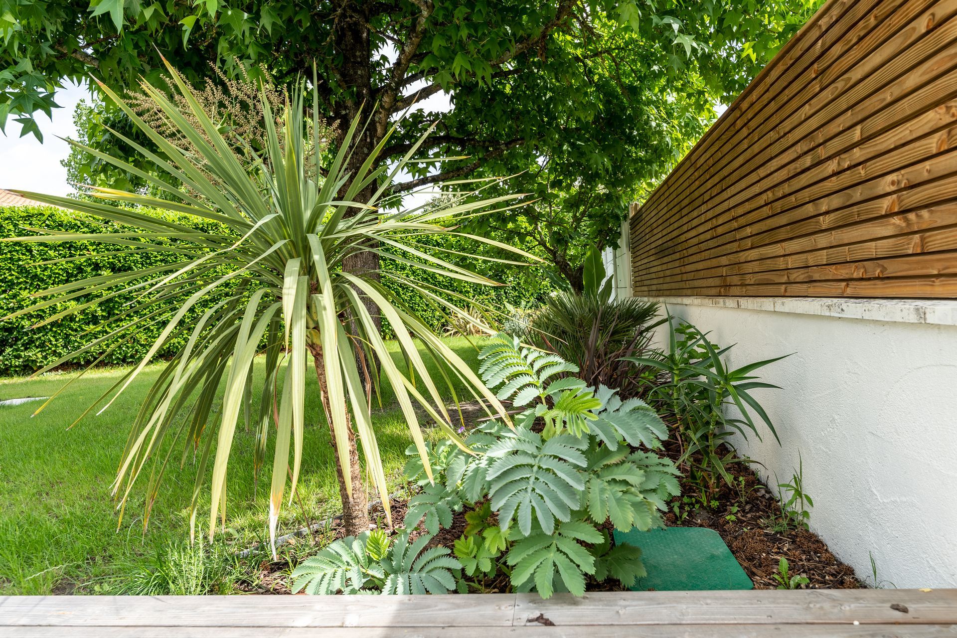 Massif contre une clôture
