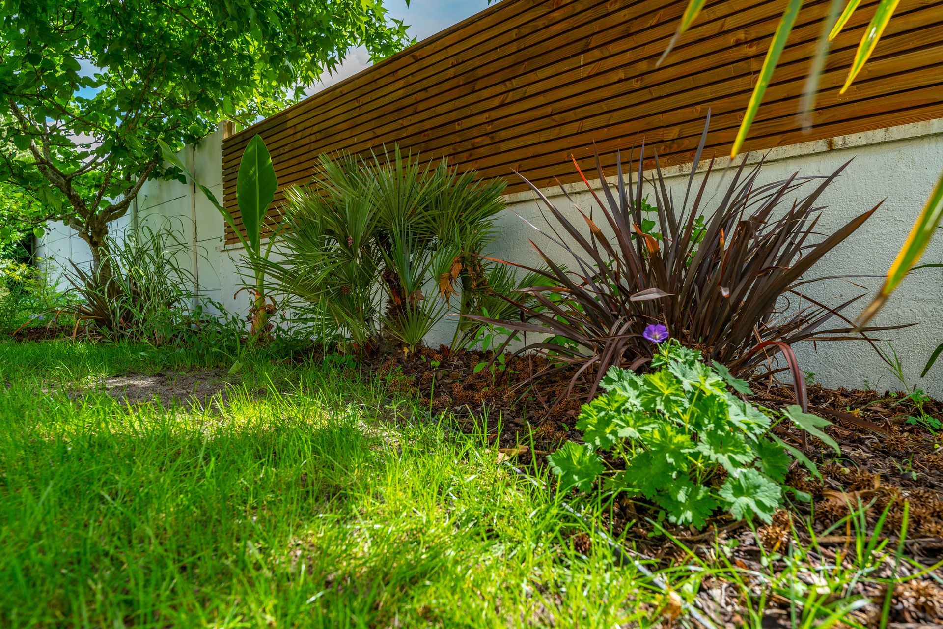 Aménagement paysager sous une clôture avec brise-vue