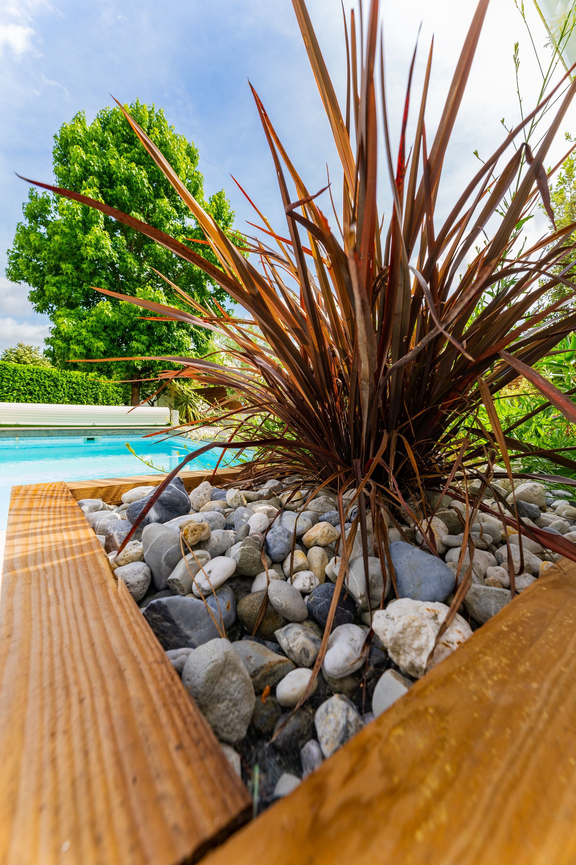 Aménagement paysager sur la terrasse d'une piscine