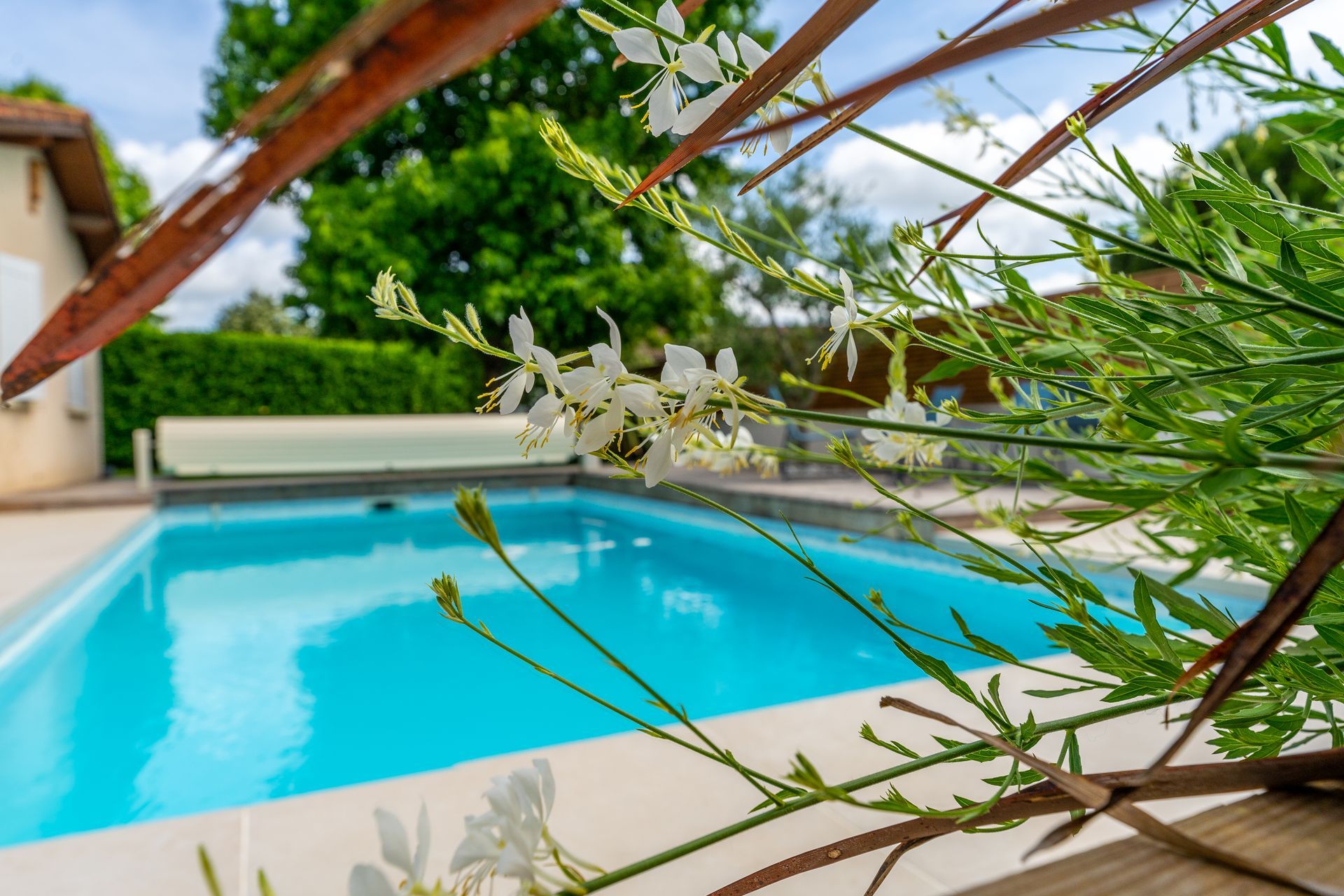 Aménagement paysager autour d'une piscine