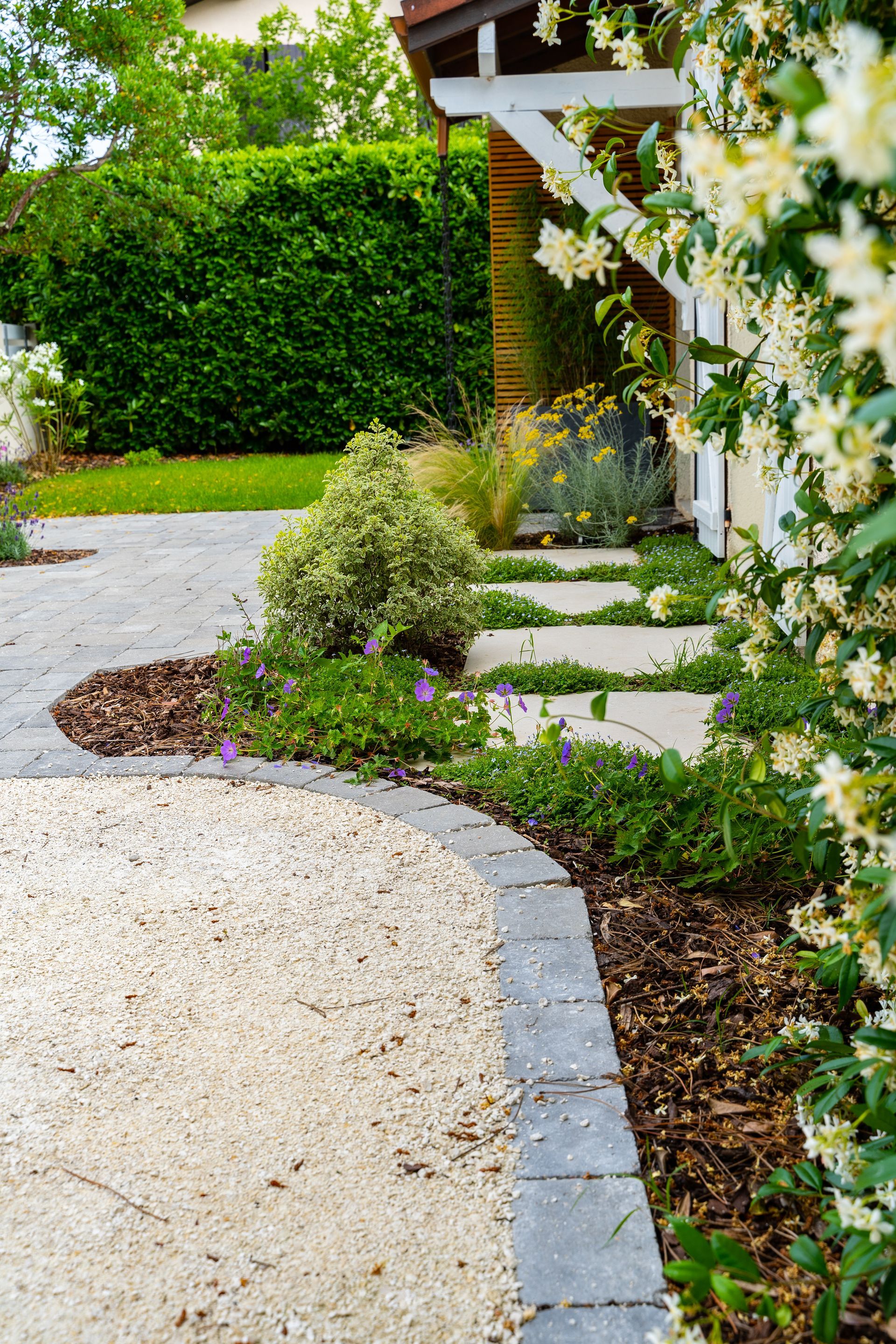 Allée de jardin avec du jasmin