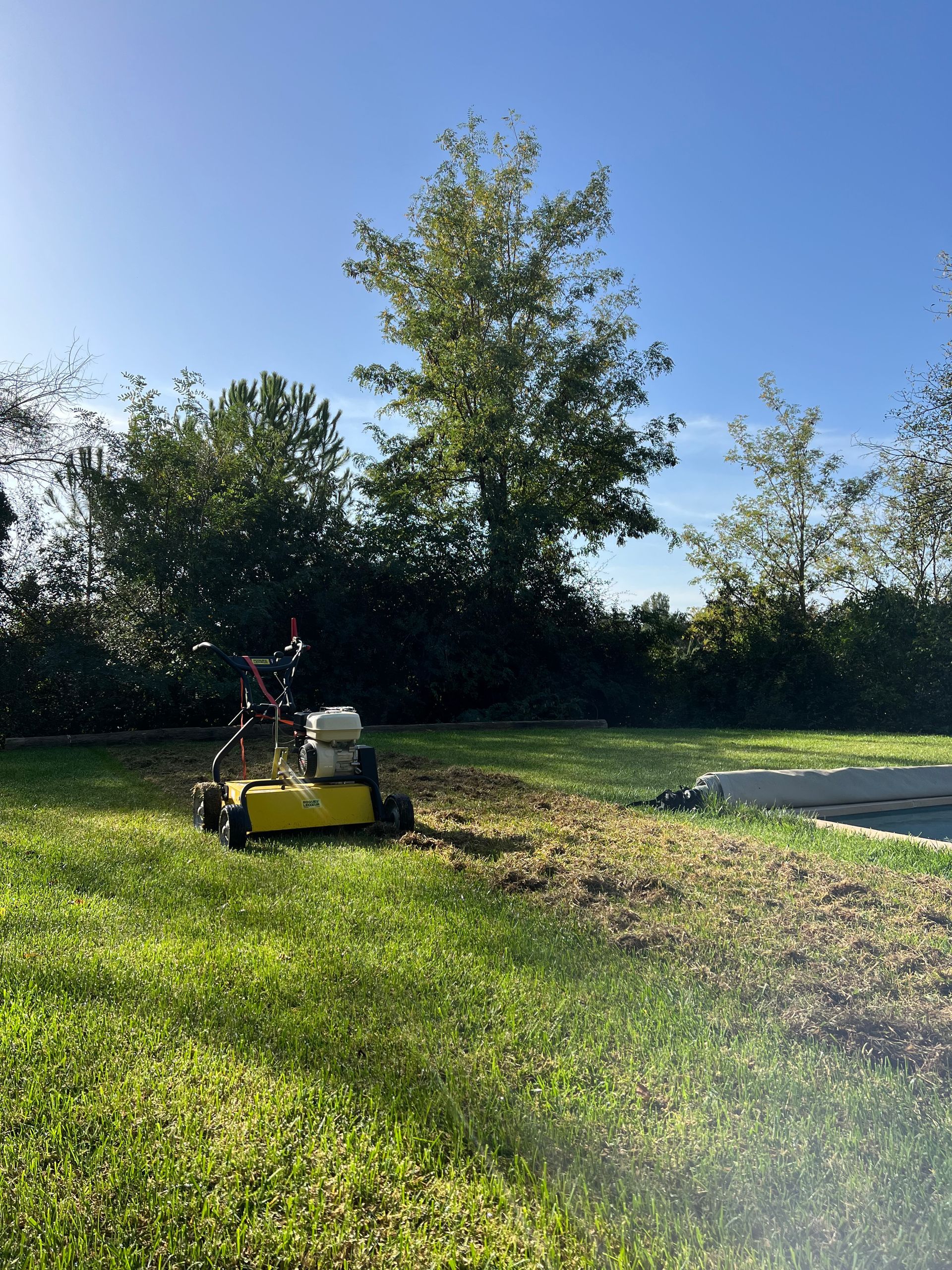 Jardin avec pelouse tondue