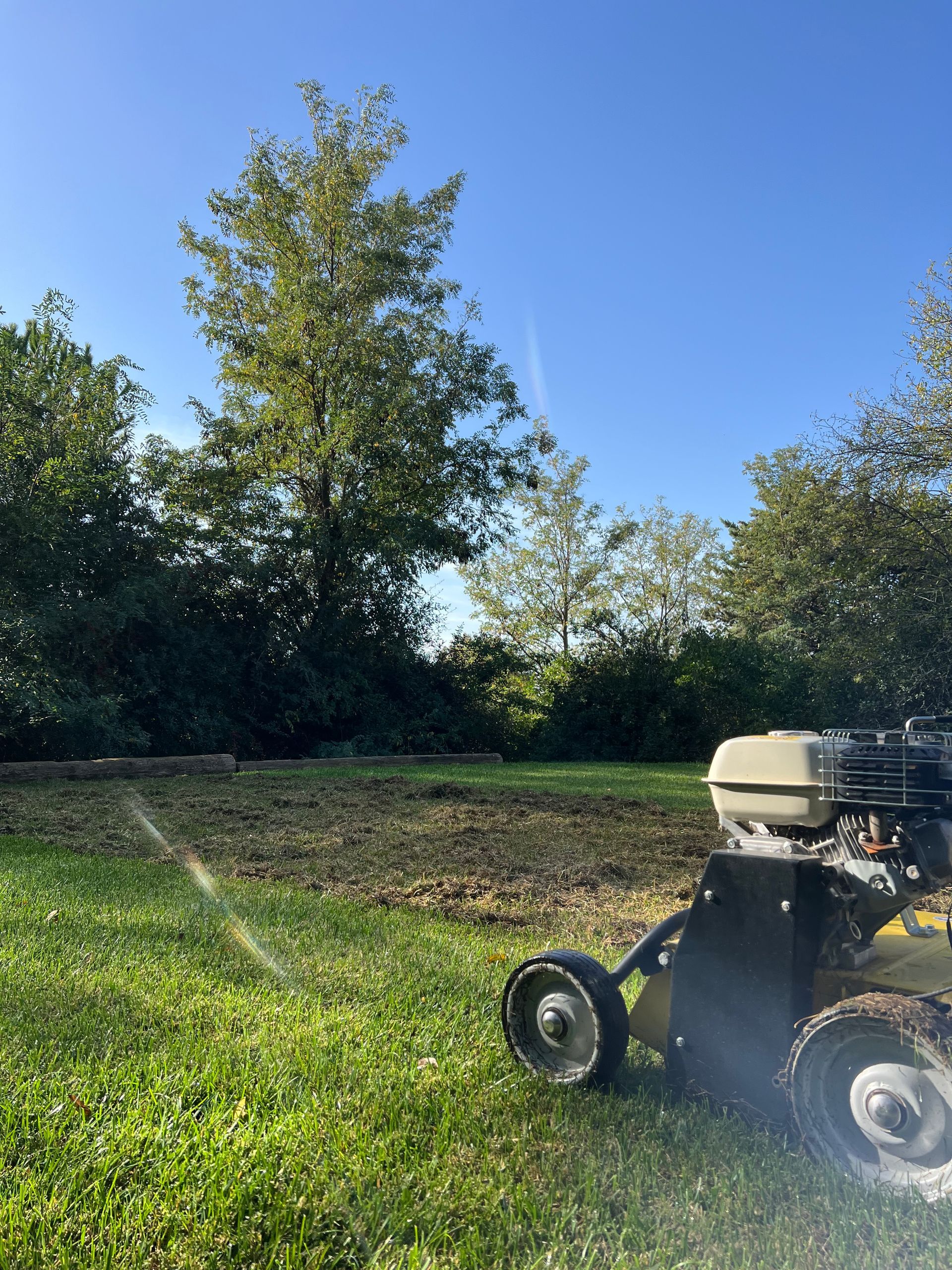 Tondeuse à gazon sur une pelouse