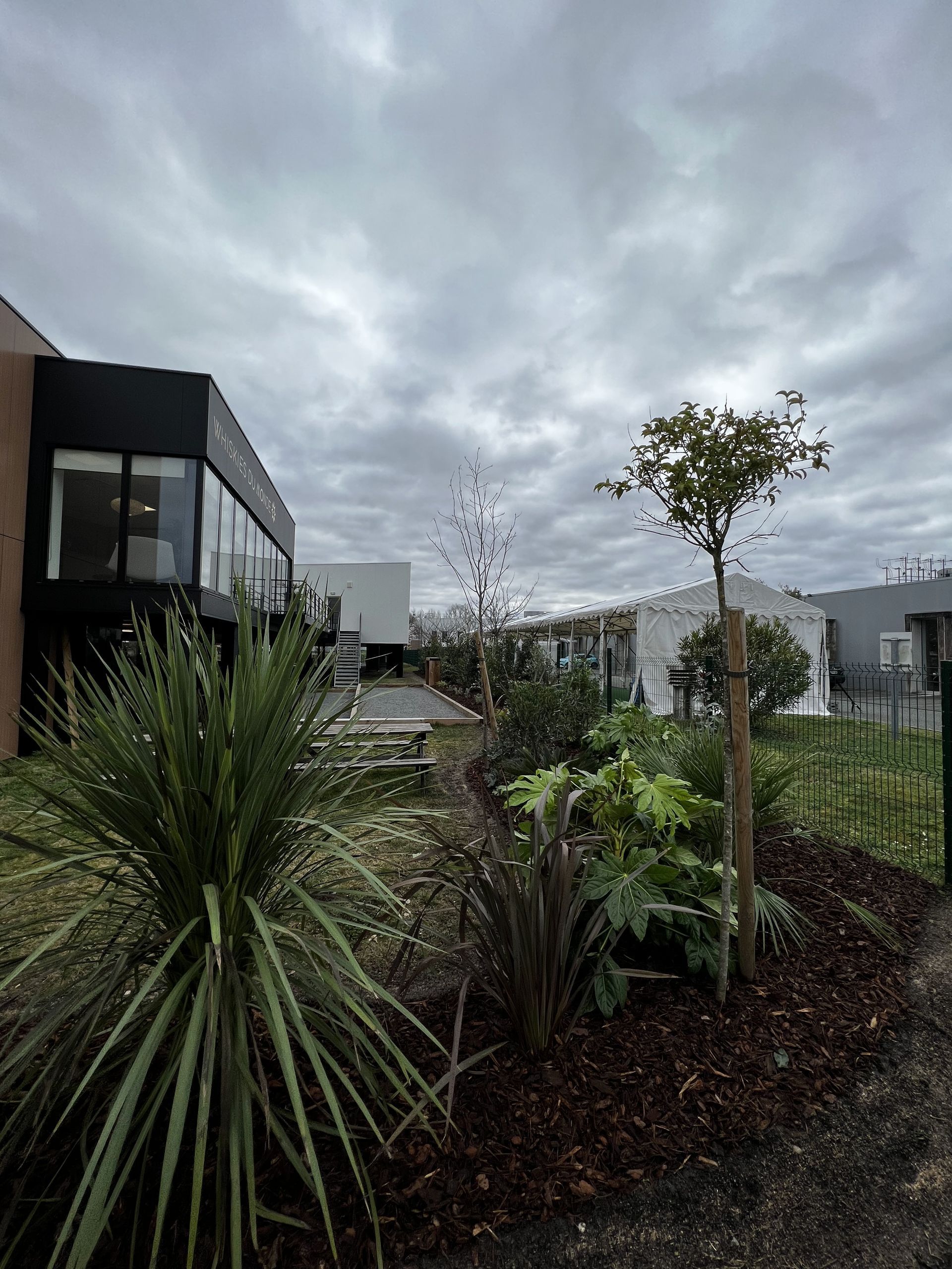 Jardin avec yucca en massif