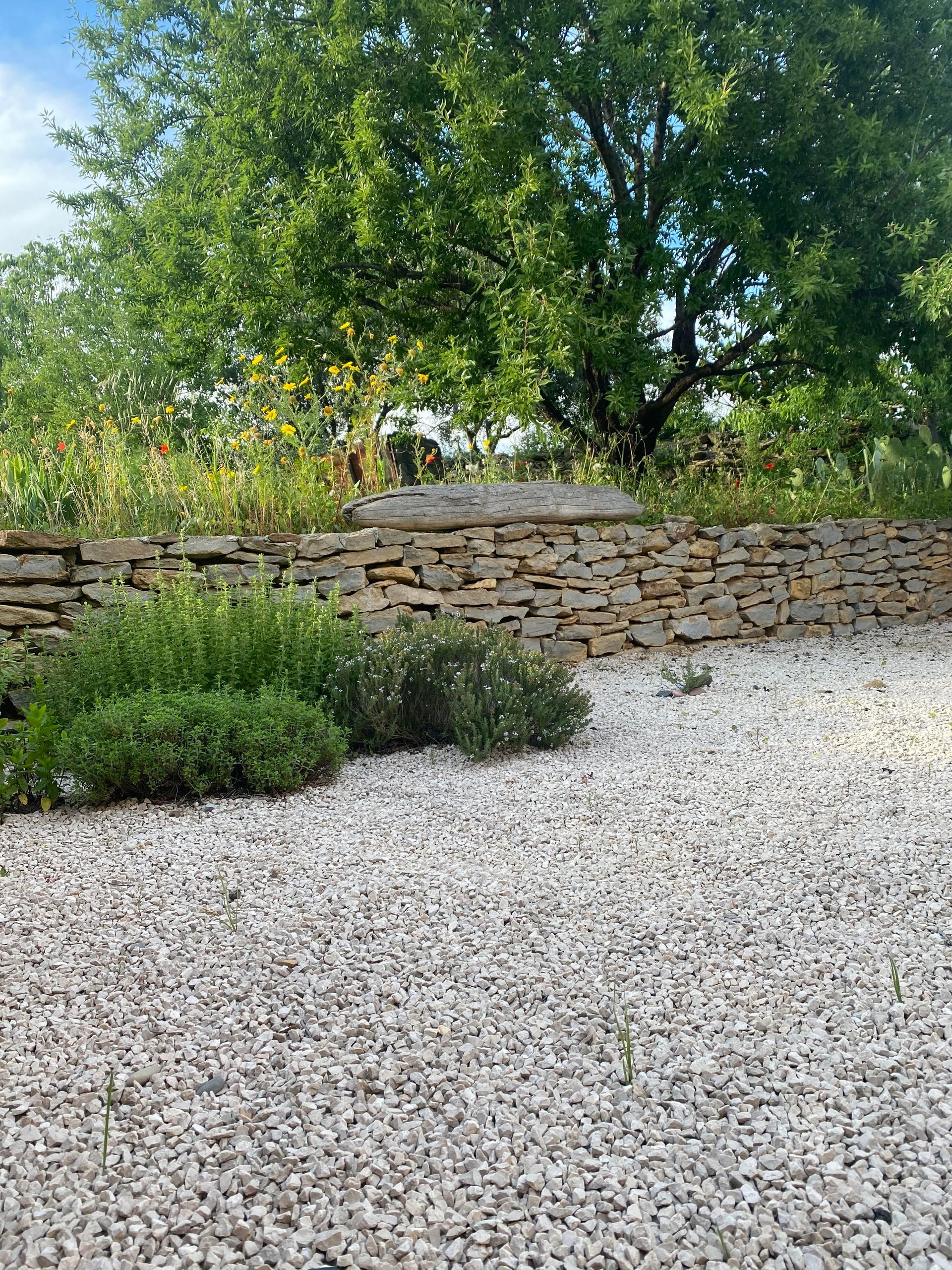 Jardin méditerranéen avec mur maçonné