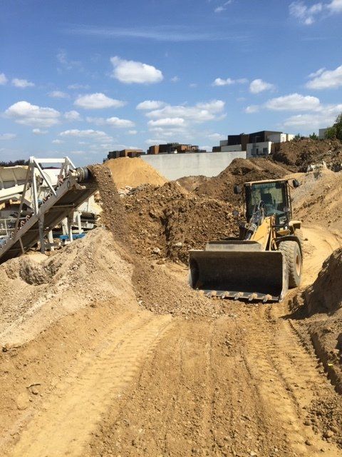 Développement durable