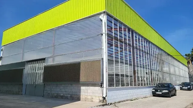 Edificio comercial moderno con remates de techo de color amarillo brillante, fachada de cristal.
