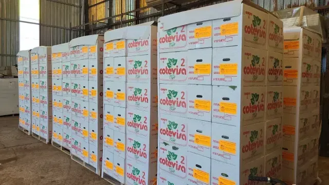 Montones de cajas de productos agrícolas en un almacén, con cartones blancos etiquetados en rojo y naranja.