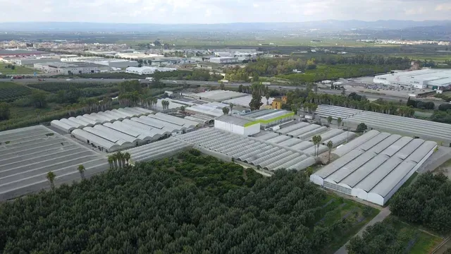 Vista aérea de un gran complejo de invernaderos industriales junto a árboles y campos.