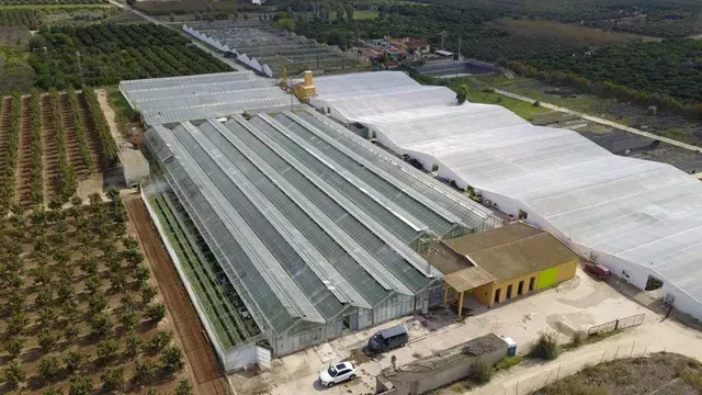 Vista aérea de un gran complejo de invernaderos con hileras de estructuras con techo de cristal.