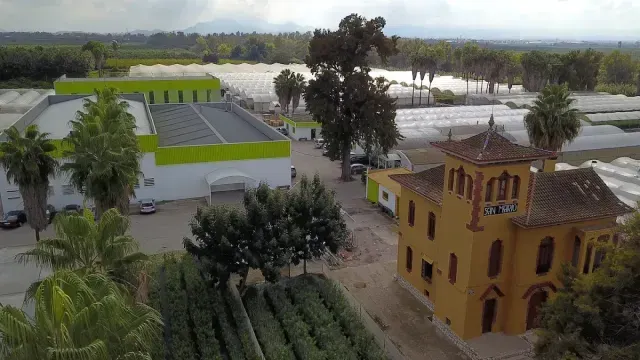 Paisaje rural con campos inundados, un edificio amarillo y una estructura industrial blanco-verdosa cerca de palmeras.