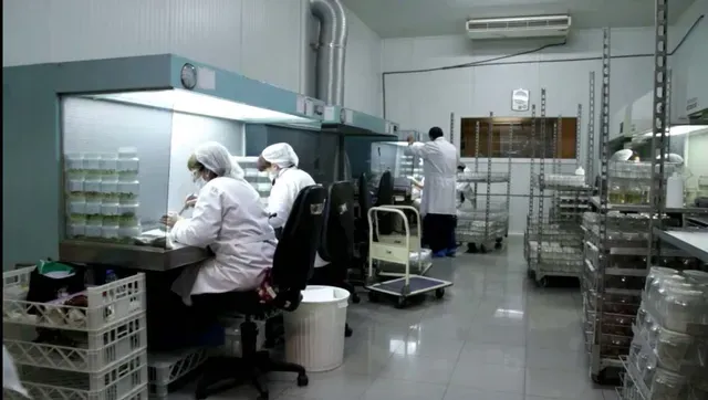 Personas con batas blancas de laboratorio trabajando en una sala de producción de alimentos o un laboratorio limpio.