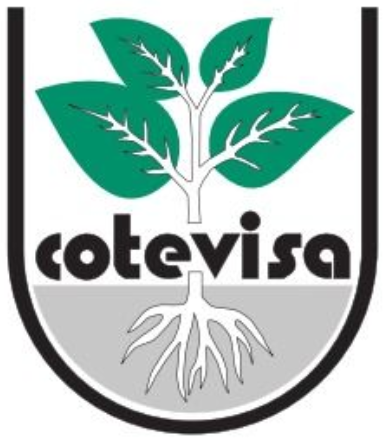 Logotipo de Cotevisa con hojas verdes y ra&iacute;ces blancas sobre texto negro sobre un fondo gris con forma de escudo.