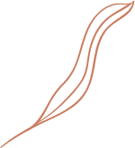 Un dessin au trait d'une plume sur fond blanc.
