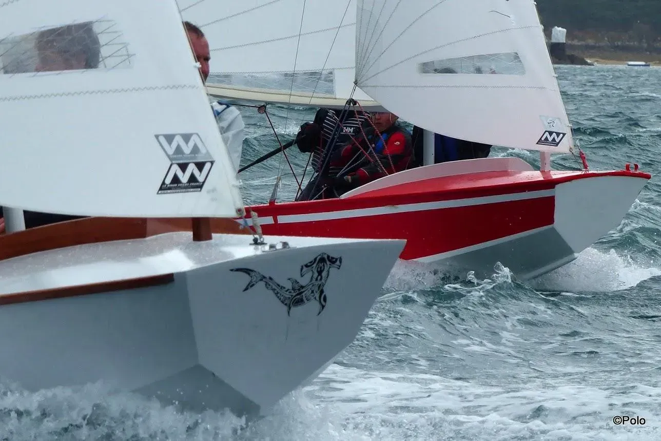 Deux voiliers, l'un gris avec un autocollant de requin-marteau et l'autre rouge et blanc, naviguant ensemble en eaux agitées et en pleine mer.
