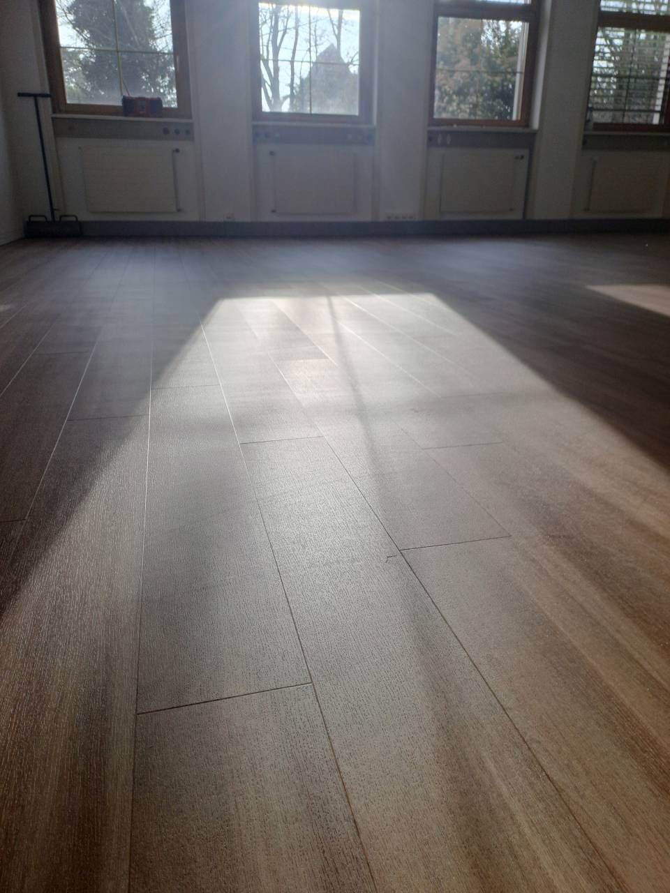 Une pièce avec un plancher en bois et beaucoup de fenêtres.