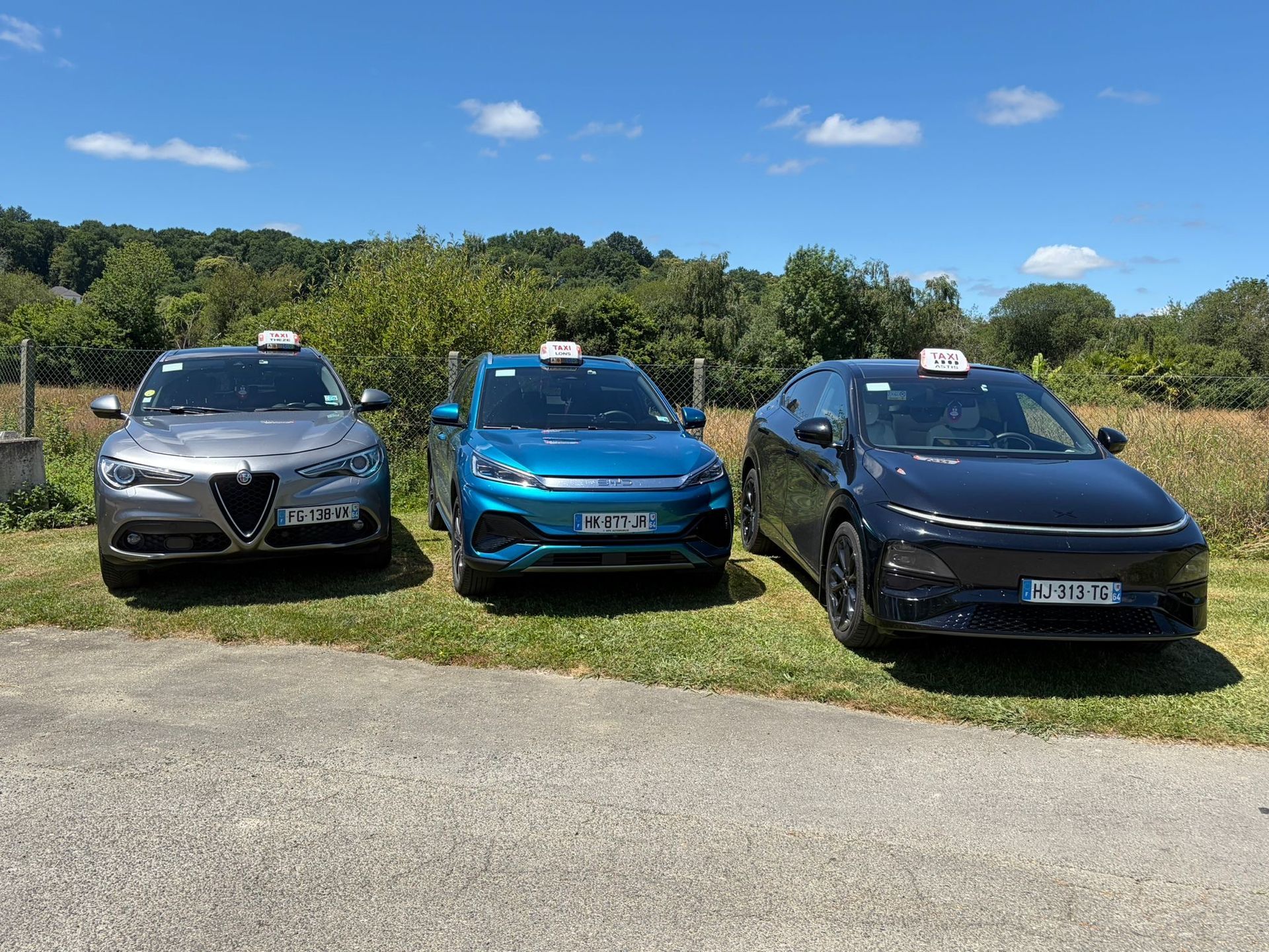 Trois voitures garées sur l'herbe d'un parking extérieur ensoleillé, dont une Audi bleue au centre.