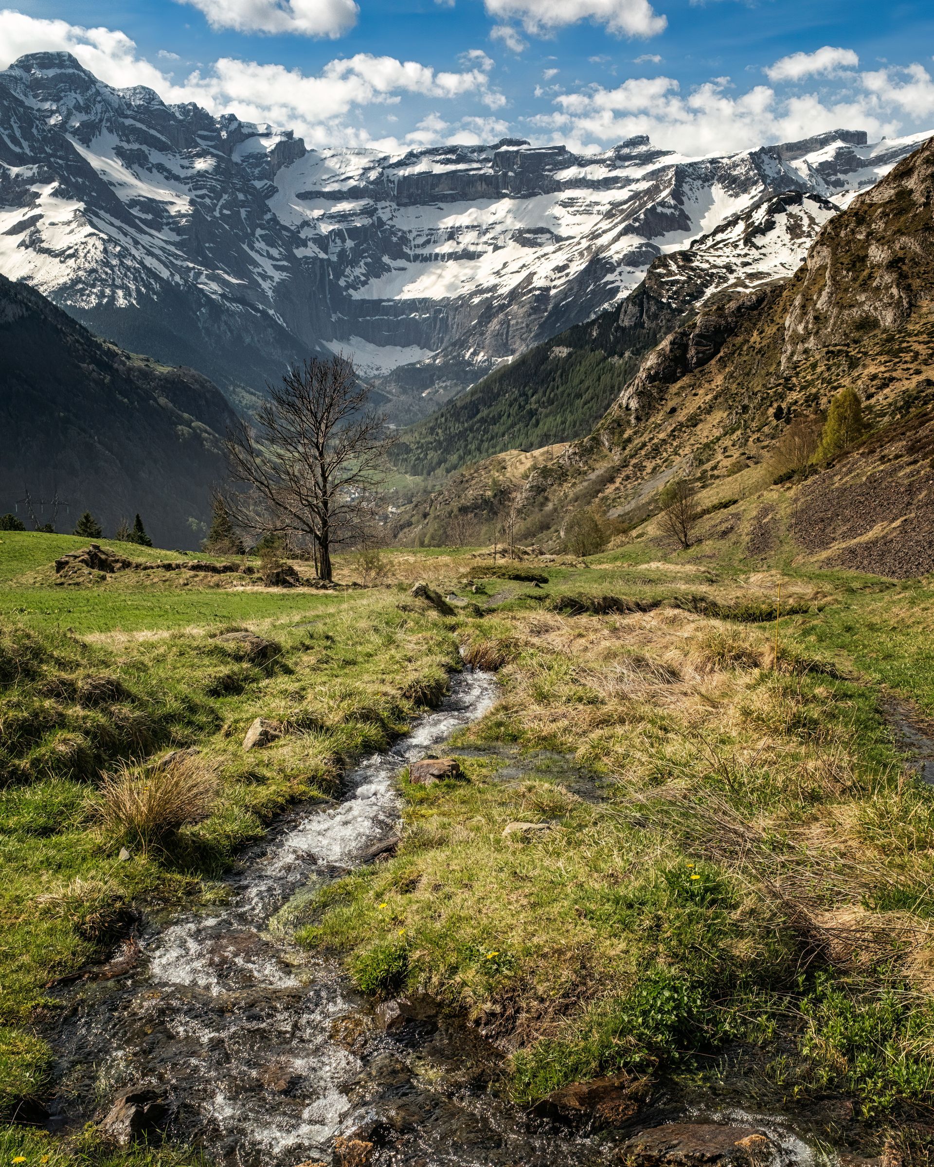 Vallée de montagne avec un ruisseau, une prairie verdoyante et des sommets enneigés sous un ciel nuageux.