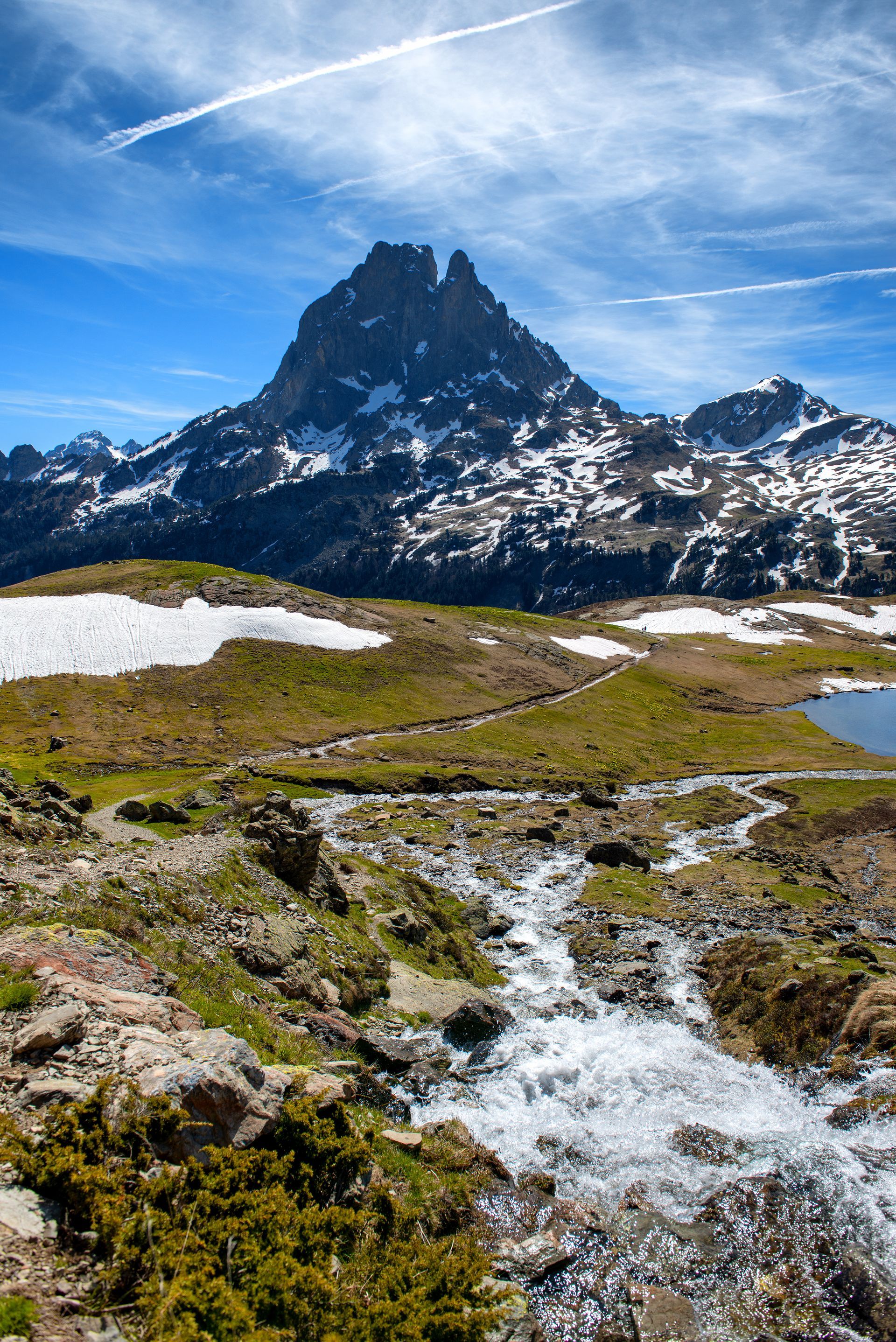 Un sommet montagneux surplombe une prairie alpine verdoyante parsemée de plaques de neige.