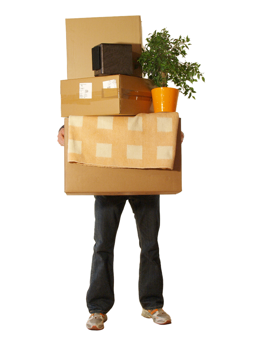 Une personne tenant des cartons et une plante dans ses mains