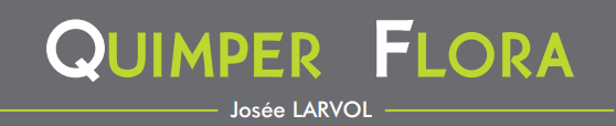 Quimper Flora logo