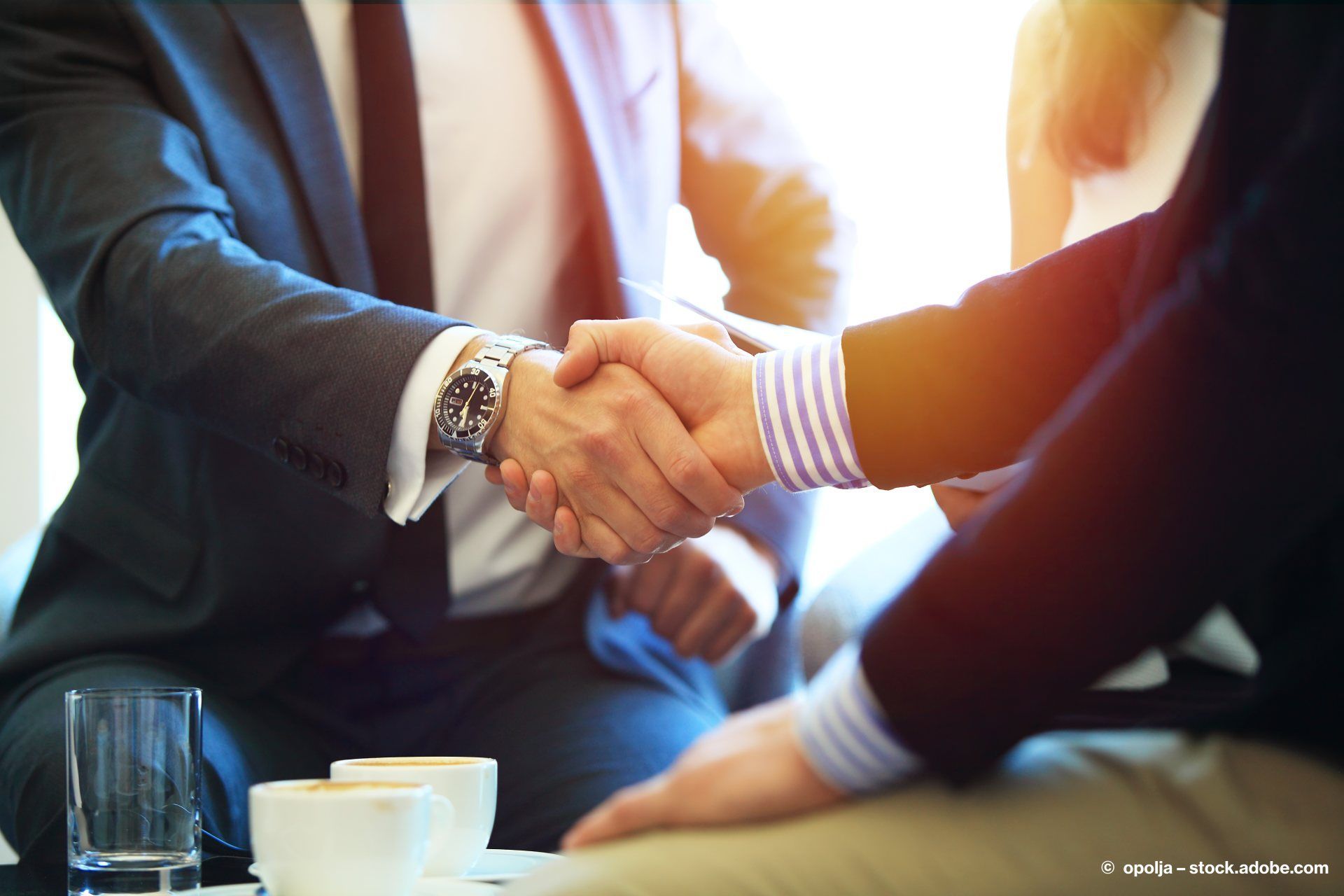 Anwalt und Mandant schütteln die Hände