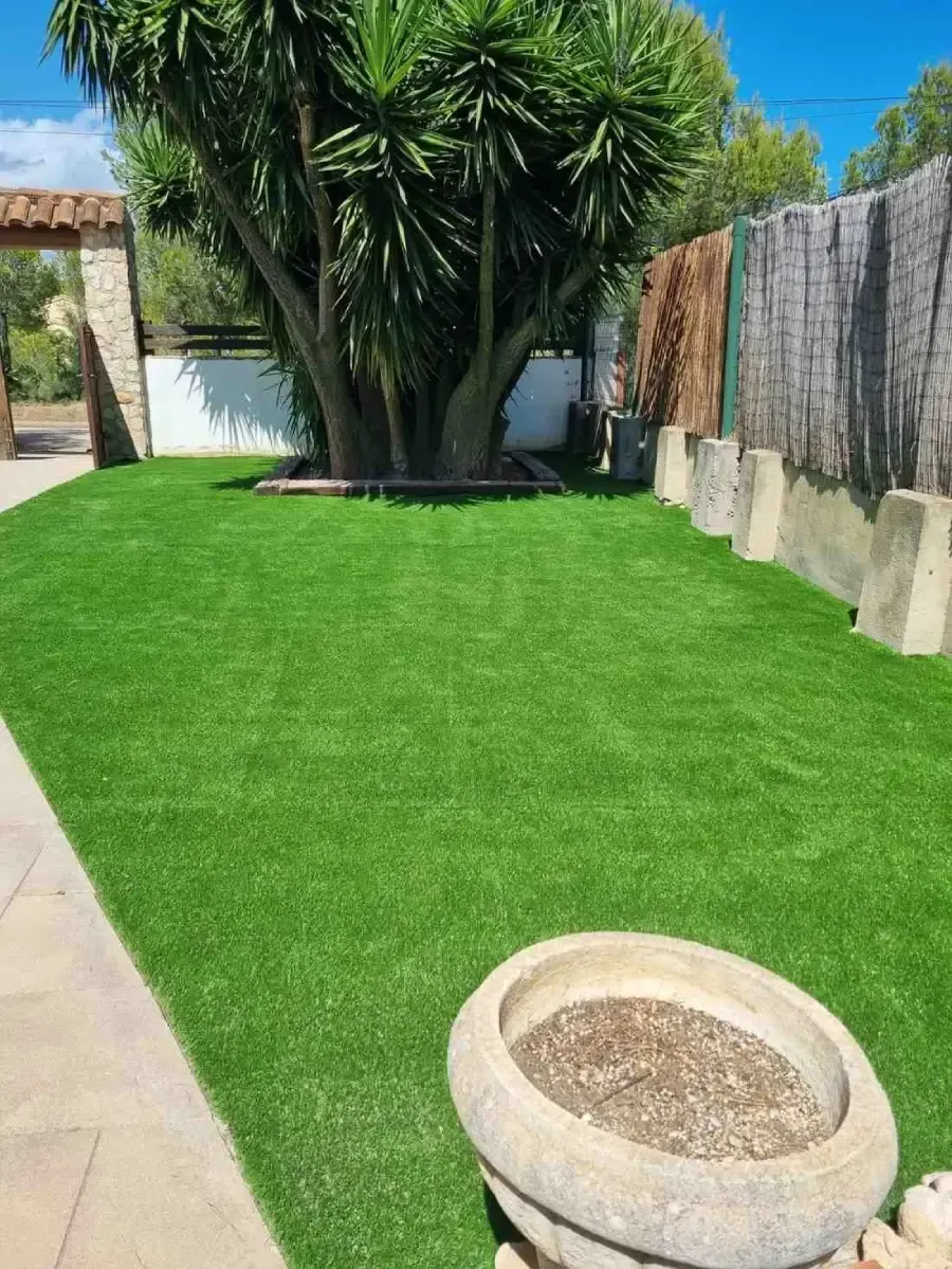Un césped de color verde brillante con un árbol alto parecido a una palmera y una jardinera de piedra