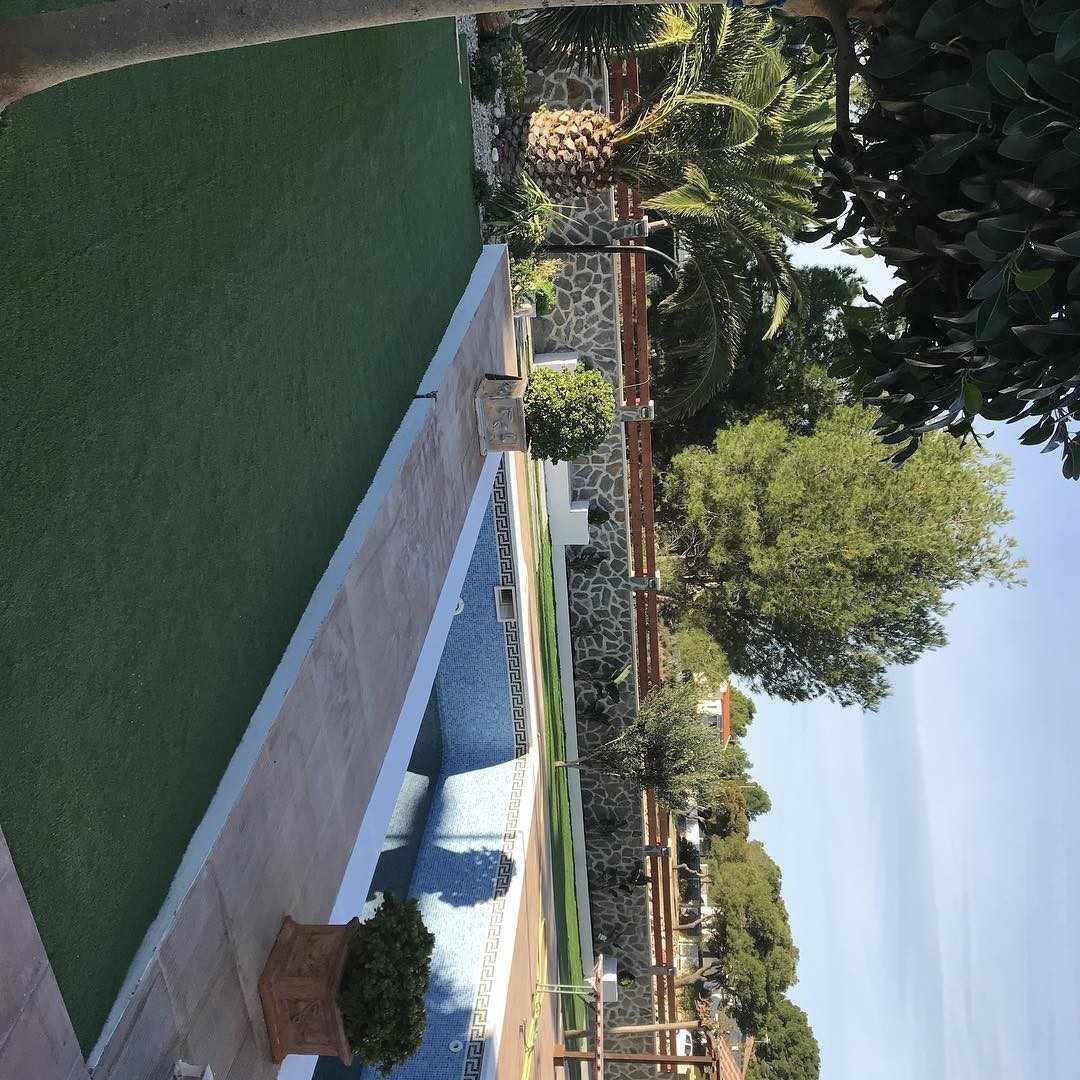 Patio trasero con piscina azul, plantas en macetas, césped verde y árboles bajo un cielo despejado.