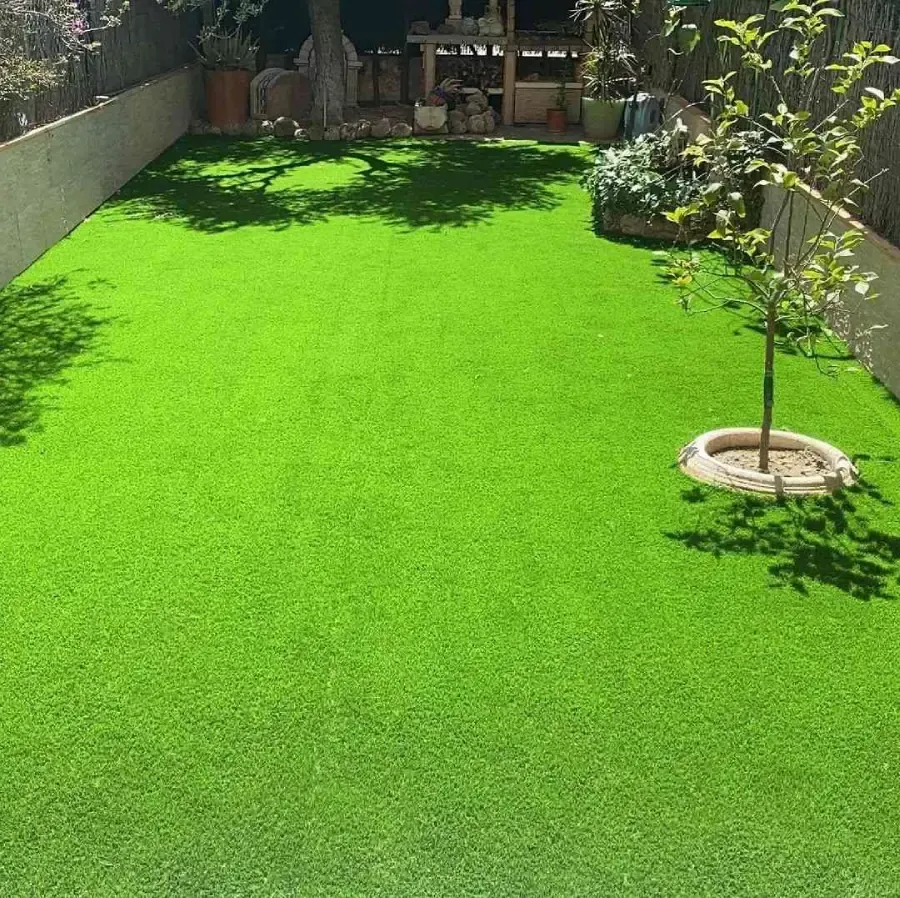 Pequeño patio trasero con césped de un verde brillante, bordeado por muros y plantas, y un árbol joven