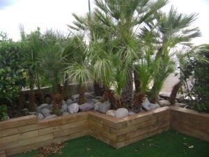 Macetero elevado de madera con palmeras y rocas en un rincón del jardín.