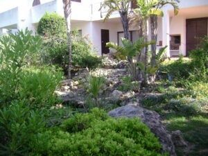 Patio tropical con exuberantes plantas verdes, rocas y un edificio con paredes blancas al fondo.